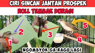 Download lagu JANGAN ASAL PILIH INI CIRI-CIRI KERAK BASI ALIS HITAM SINCAN JANTAN BAGUS PROSPEK mp3 Download lagu JANGAN ASAL PILIH INI CIRI-CIRI KERAK BASI ALIS HITAM SINCAN JANTAN BAGUS PROSPEK mp3