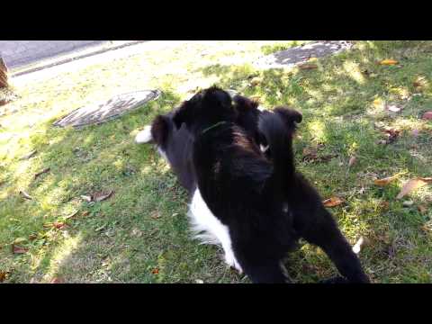 Trocha nostalgie :-)