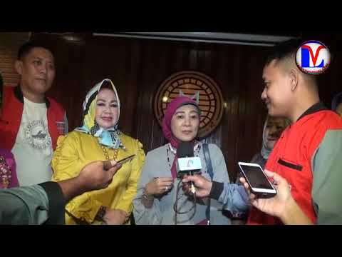 Torus Hammer vіdguki Kacang-kacangan dan potensi