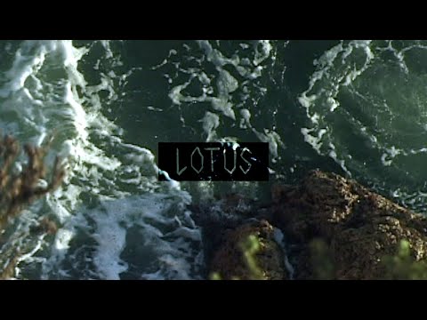 Below Bloom - Lotus (Music Video)