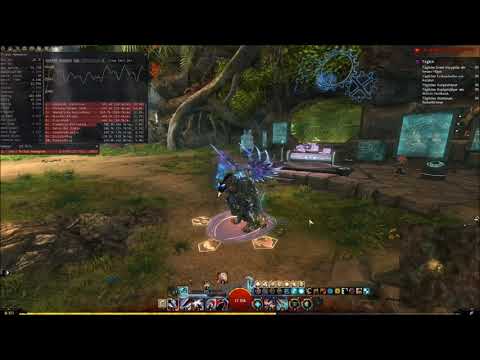 GW2 Power DPS Herald Guide (deutsch)