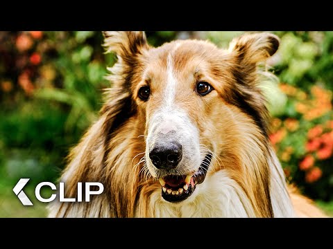Lassie rettet die entführten Kinder! - LASSIE: Ein neues Abenteuer Clip & Trailer German (2023)