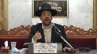 הרב מאיר אליהו • פרשת תרומה תשפ'א (בית הכנסת מוסאיוף - ערוץ חדש) - התמונה מוצגת ישירות מתוך אתר האינטרנט יוטיוב. זכויות היוצרים בתמונה שייכות ליוצרה. קישור קרדיט למקור התוכן נמצא בתוך דף הסרטון