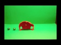 Protein Synthesis