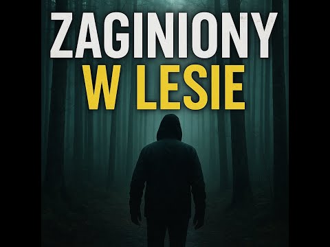 Zaginiony w lesie | Tajemnicze zniknięcie Larsa Mittanka