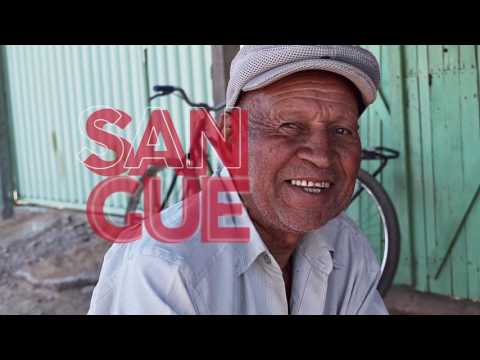 Tá na cabeça, tá no coração (Jingle) #EuQueroMiguel40