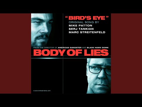 Bird's Eye (Original Song from the Motion Picture Body of Lies)