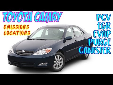 Toyota Camry PCV, EGR, EVAP Purge & Canister