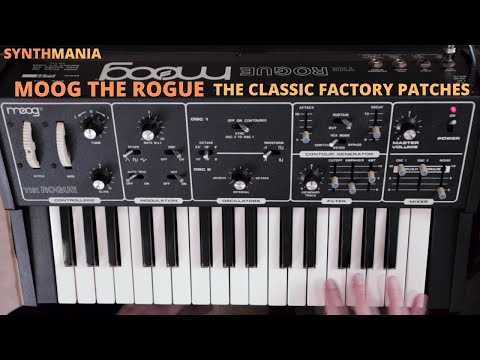 Moog Rogue 1981 - Black Bild 13