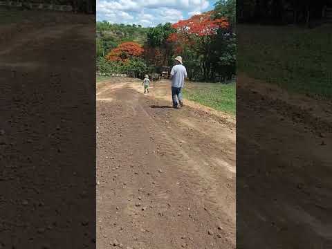 Políticas públicas: atenção ao meio rural de Itaúna