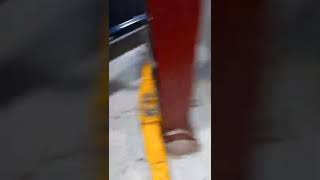 Que es obd p1491 RAM