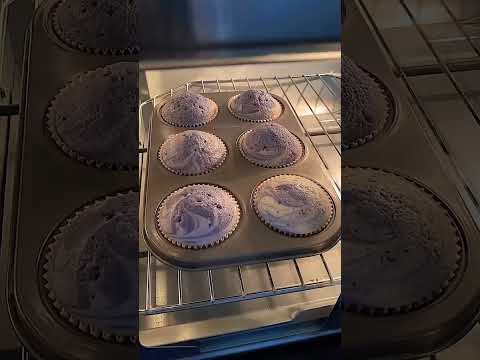 Beautiful Colourful Cups Cakes🧁🧁🧁#short #viral #youtube #enjoy #Alish Mohib kids family