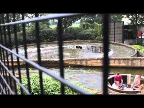 Hockey kamp Youtube video