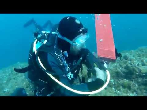 Immersione a Siracusa "Buco Tondo"  Luglio 2015