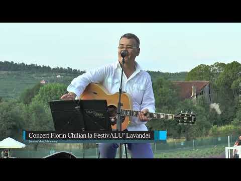 Concert Florin Chilian la FestivALU' Lavandei, Somcuta Mare