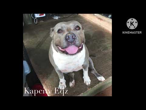 I’ll Miss You - Puff Daddy x Aaliyah (ft Selena & 112)