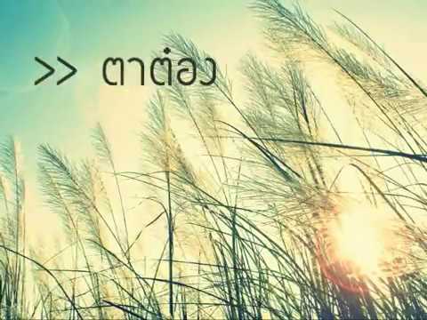 คลิกเพื่อดูคลิปวิดีโอ