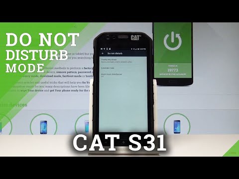 How to Enable Do Not Disturb in CAT S31 - DND Settings |HardReset.info