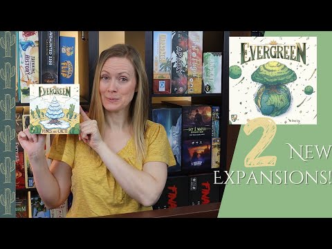 Pines & Cacti | EVERGREEN EXPANSIONS Overview & Review
