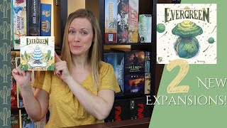 Tabletop Tolson - Evergreen video thumbnail