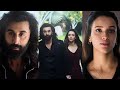 Pehle Bhi Main Status Animal Movie Song Ranbir Kapoor Tripti Dimri 4k Status Lovestatus Animal