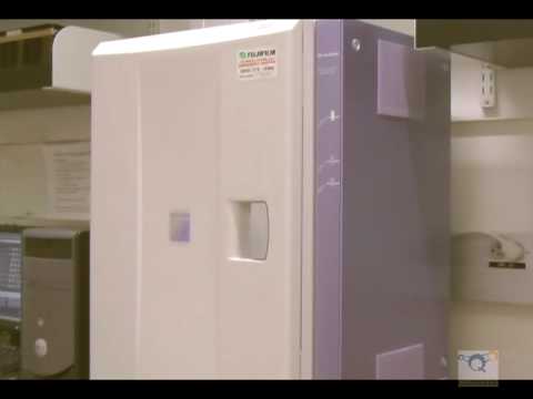 Using the Fujifilm LAS-3000 to image the Quansys Q-Plex Array