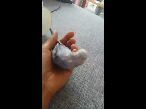 Kuscheln mit der Hand