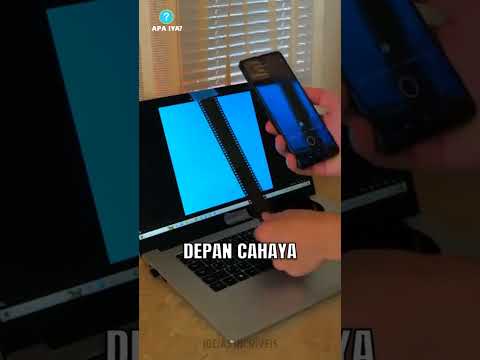 Trik Mengubah Film Negatif Jadi Foto Nyata