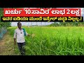 Natural cultivation of rice in Karnataka | best farming krushi in Kannada agriculture business ideas