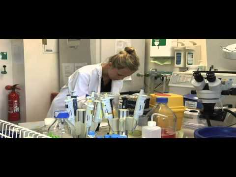 Gaining more scientific experience