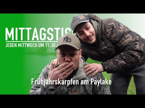 👀 Frühjahrskarpfen in Frankreich 🇫🇷 | Oldschool - Story | Mittagstisch #93