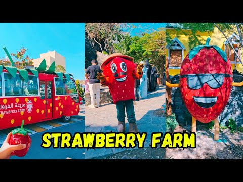 I Found an Upside-Down House Inside a Strawberry Farm?! 🍓🏠🤯 Taif Adventures