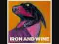 Iron and Wine - White Tooth Man 