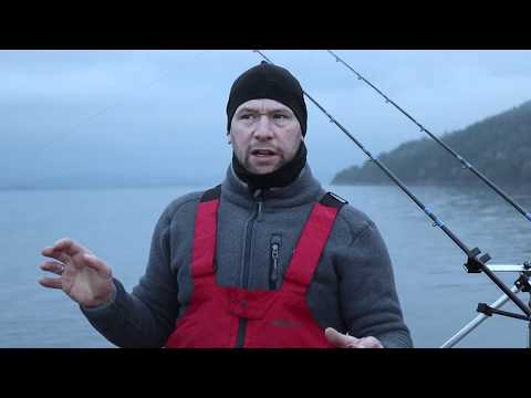 Shore fishing in Norway for plaice