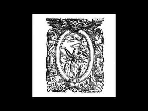 Voidcraeft - Revelation of Meaninglessness [With Neither Idols nor Ideals] 2014