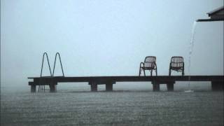 Martin O'donnell & Michael Salvatori - Rain