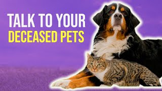 How To Communicate With Deceased Pets (Using Tarot or Oracle Cards)