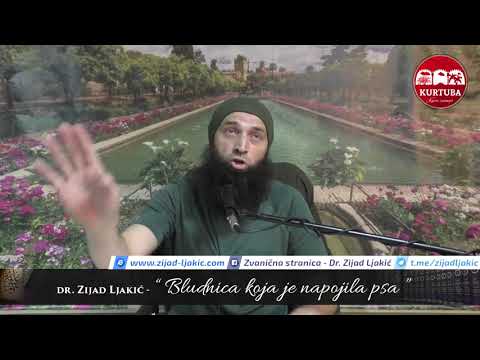 Bludnica koja je napojila psa - dr. Zijad Ljakić