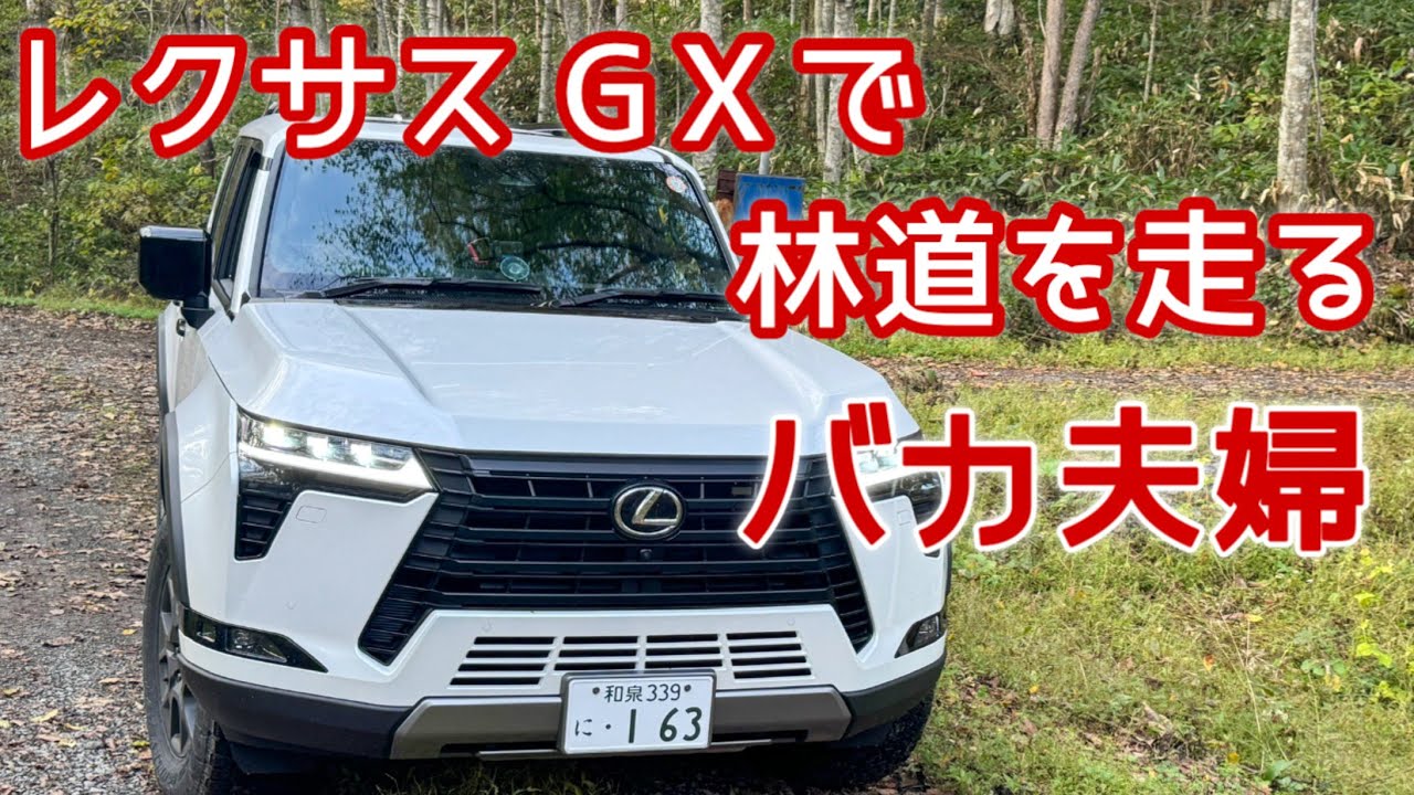 【レクサス】帰れないかと思った😭オフロード#lexus #offroad 