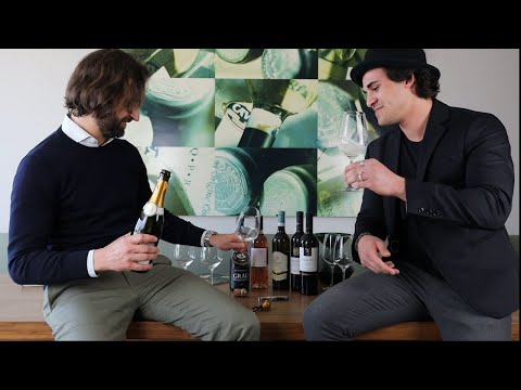 Wein erklärt: Prosecco Spumante Brut Treviso DOC Bertoldi Venetien Schaumwein