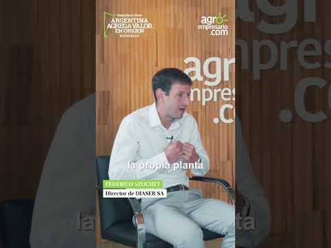 Federico Szuchet - Director de DIASER SA