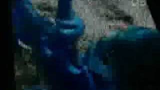 bad religion - 21st century digital boy