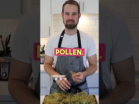 🍦 What's the secret to incredible ice cream? | EP50