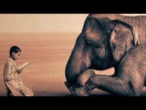 La Saggezza del Tao - 20