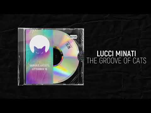 Lucci Minati - The Groove Of Cats