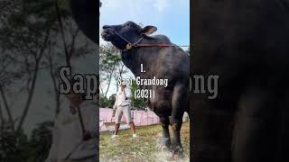 Download lagu JUMBO COW_IRFAN HAKIM'S SACRIFICIAL COW FROM YEAR TO YEAR #shorts #cow #cow #jumbocow #artist #irfan mp3