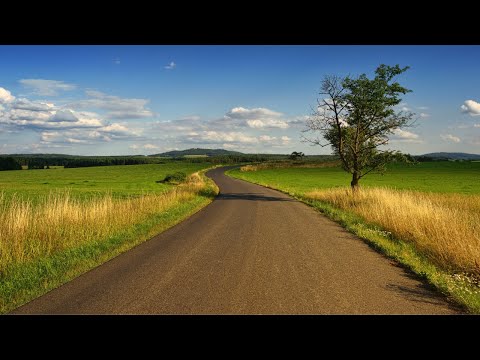 From the City to the Countryside – A Journey through the Interior of São Paulo 【4K】