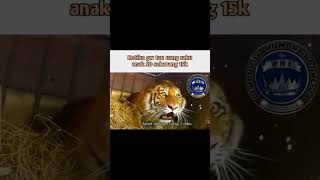 Download lagu Aduh dekk... #memes #random mp3 Download lagu Aduh dekk... #memes #random mp3