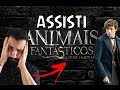 ASSISTI ANIMAIS FANTÁSTICOS