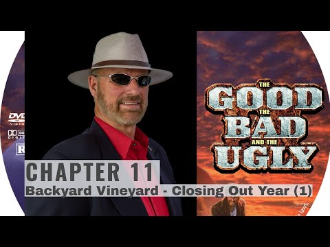 Chapter 11 - Backyard Vineyard - Year 1 Recap, The Good, The Bad and The Ugly.